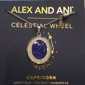 Nwt Alex Ani Celestial Wheel Capricorn 